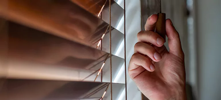 Double Roller Blinds in Miramar, FL