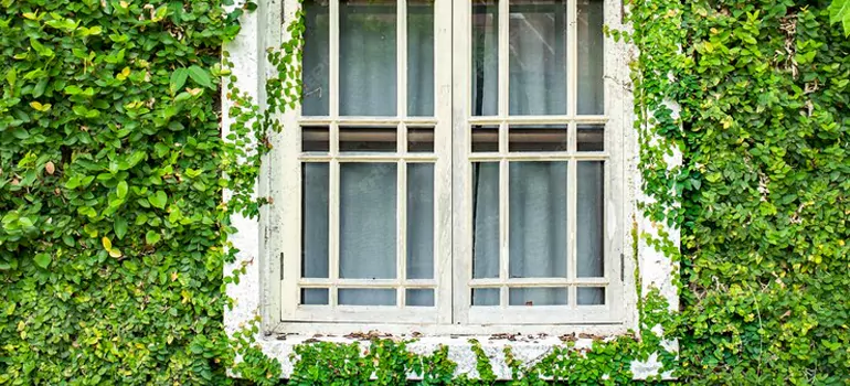Garden Window Repair Near Me in Miramar, FL