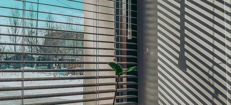 Commercial Window Blinds in Miramar, FL