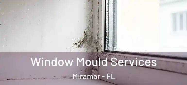  Window Mould Services Miramar - FL
